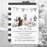 Invitación Dog Birthday Party For Boy Puppy Invitation<br><div class="desc">Celebrate your puppy dog's birthday with these handsome party animal dogs! Front has five dogs (pug, labrador, bulldog, golden retriever, and a jack russell terrier) with party hats and a gray flag bunting at top on solid white background. Back has black and white stripes. Templates created for you in black,...</div>