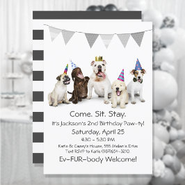 Invitación Dog Birthday Party For Boy Puppy Invitation