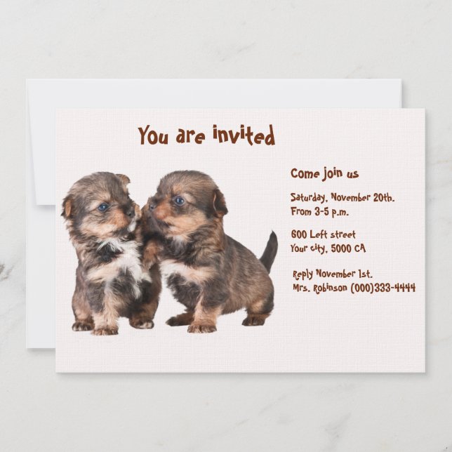 Invitación Dos perritos agraciados de Yorkshire (Anverso)