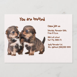 Invitación Dos perritos agraciados de Yorkshire