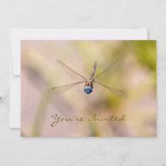Invitación Dragonfly fotografía