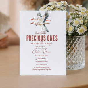 Invitación Ducha de bebé de dos cigüeñas y gemelas