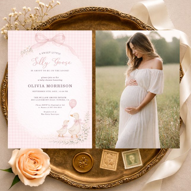 Invitación Ducha de bebé de Silly Goose Blush Rosa a Cuadros  (Subido por el creador)