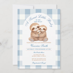 Invitación Ducha de parejas de perezoso de gingham azul anima