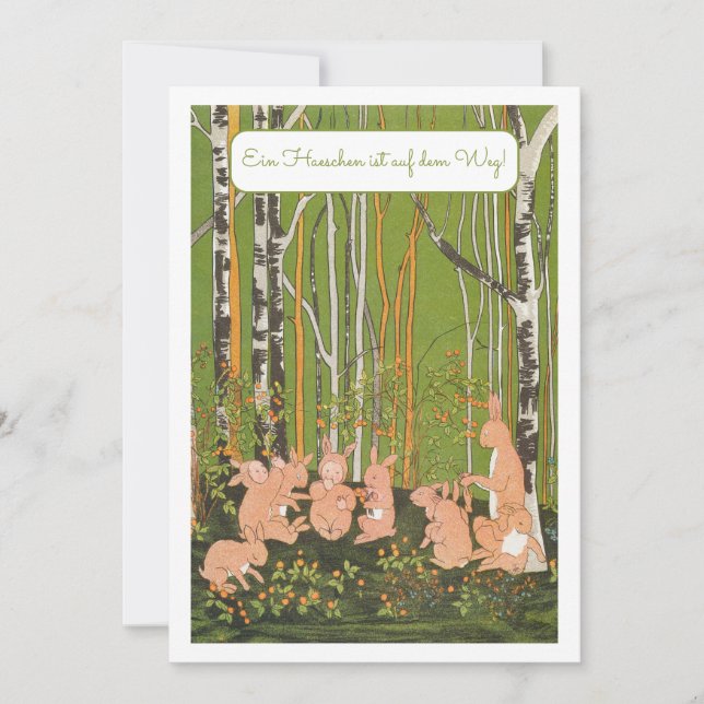 Invitación Ein Kleines Haeschen Baby Fiesta Einladung (Anverso)