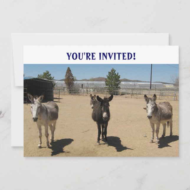 Invitación El cumpleaños más bonito Burros Occidental (Anverso)
