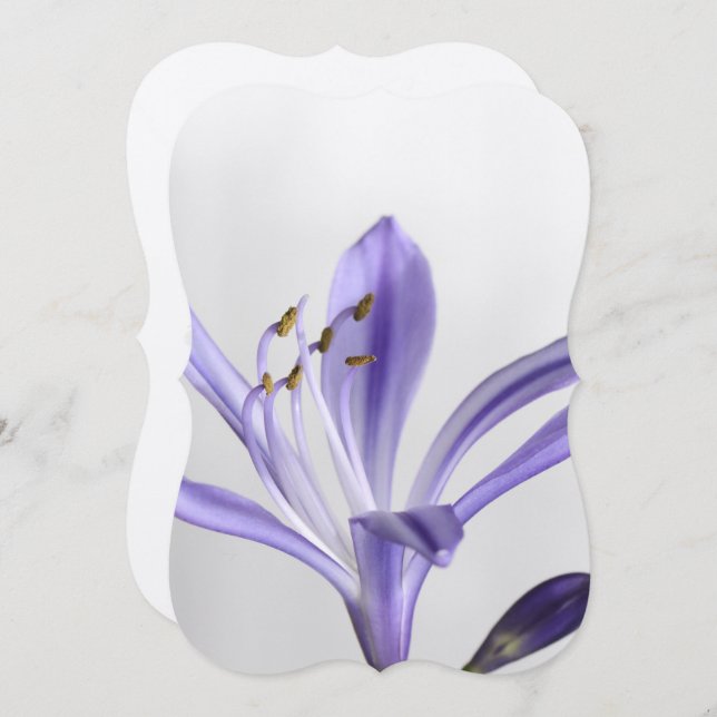 Invitación El destino del Fiesta de la ducha de novia (Anverso / Reverso)