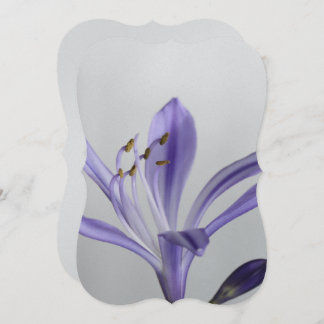 Invitación El destino del Fiesta de la ducha de novia