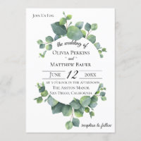 El eucalipto del dólar de plata sale de la