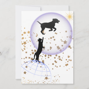 Invitación El gato curioso y el perro que corre