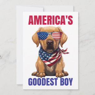 Invitación El Labrador más bueno de América