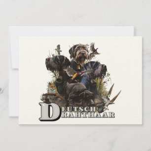 Invitación El puntero alámbrico alemán
