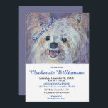 INVITACIÓN EL SUETE BLANCO YORKIE PUPPY DESEA FELIZ CUMPLEAÑO<br><div class="desc">Este dulce y adorable White Yorkie Puppy le da la bienvenida a una divertida fiesta de cumpleaños para usted y el suyo, ya sea para adultos o niños. Una invitación única para, cumpleaños de cualquier edad! - imagen de la pintura acuarela original de los diseñadores. Toda la invitación se puede...</div>