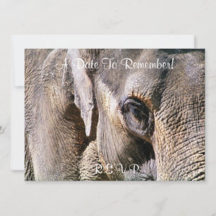 INVITACIÓN ELEFANTE