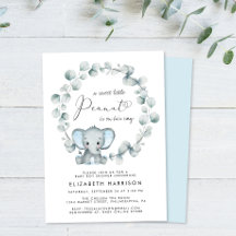 Elefante Eucalyptus Baby Boy Shower