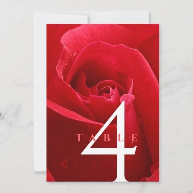 Invitación Elegante 15.º 26.º 36.º Rosa Boda Aniversario (Anverso)