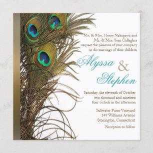Invitación elegante 1 de la boda de la pluma del