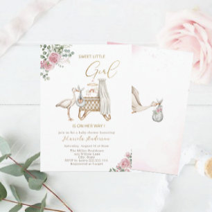 Invitación Elegante acuarela Stork Baby Baby Shower
