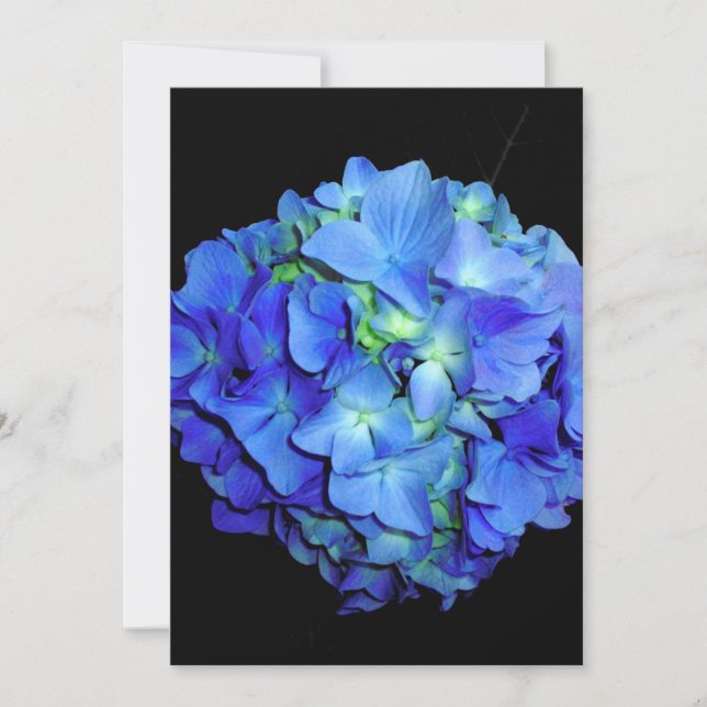 Invitación Elegante azul floral rosas azul hortensias azules (Anverso)