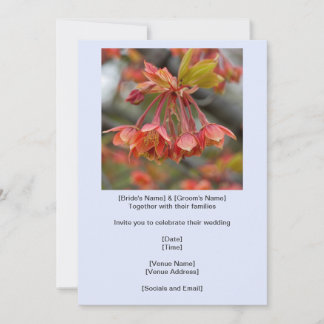 Invitación Elegante Boda de clúster de flores de arce rojo