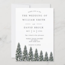 Elegante boda de copos de nieve de invierno Wonder