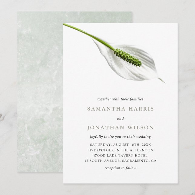 Invitación Elegante Boda de Lirio Blanco de la Paz de Cotton (Anverso / Reverso)