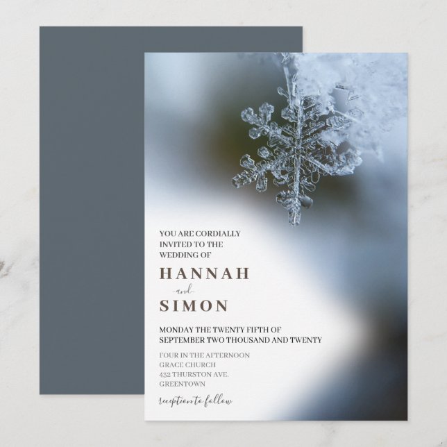 Invitación Elegante Boda de nieve plateada de invierno modern (Anverso / Reverso)