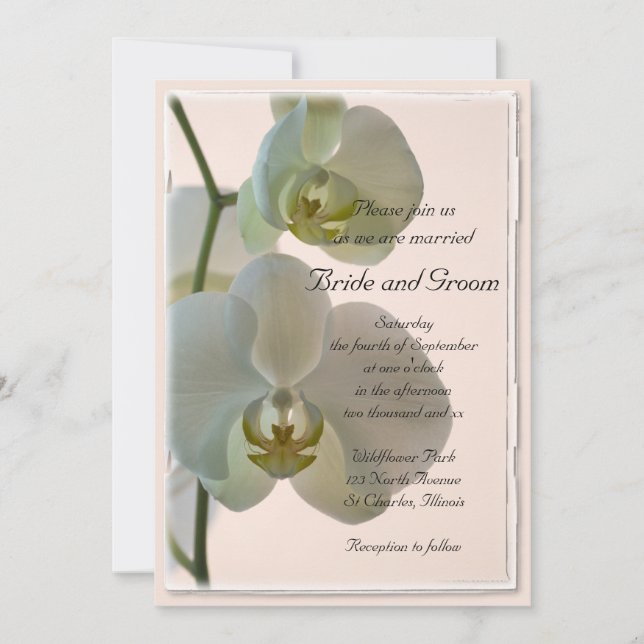 Invitación Elegante Boda de orquídeas blancas (Anverso)