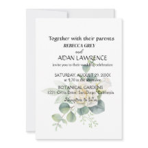 Elegante foto botánica de eucalipto