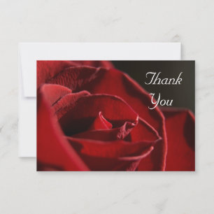 Invitación Elegante Llanura de Rosas Rojas Notas de agradecim