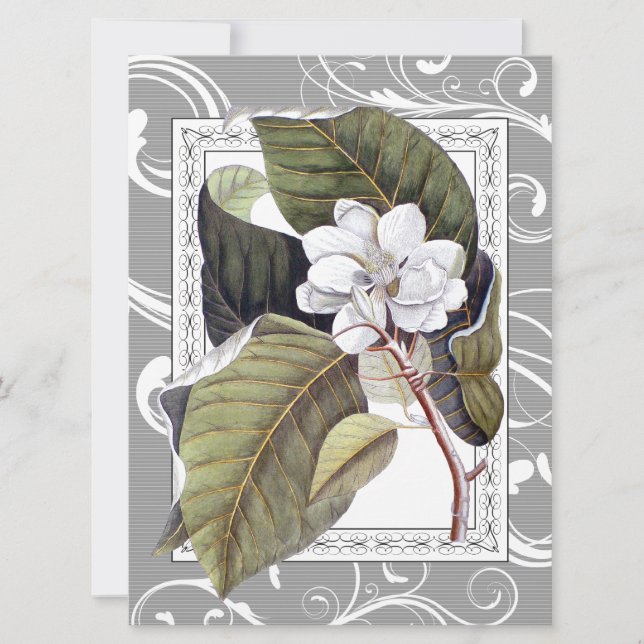 Invitación Elegante Magnolia Southern Belle Boda (Anverso)