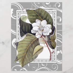 Invitación Elegante Magnolia Southern Belle Boda