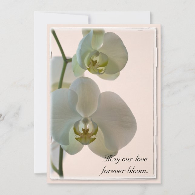 Invitación Elegantes orquídeas blancas en Boda rosa (Anverso)