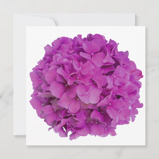 Invitación Elegantes rosas de hortensias florales de magenta  (Anverso)