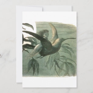 Invitación Elf Fairies Elves Moon Night Scene Bird Flying