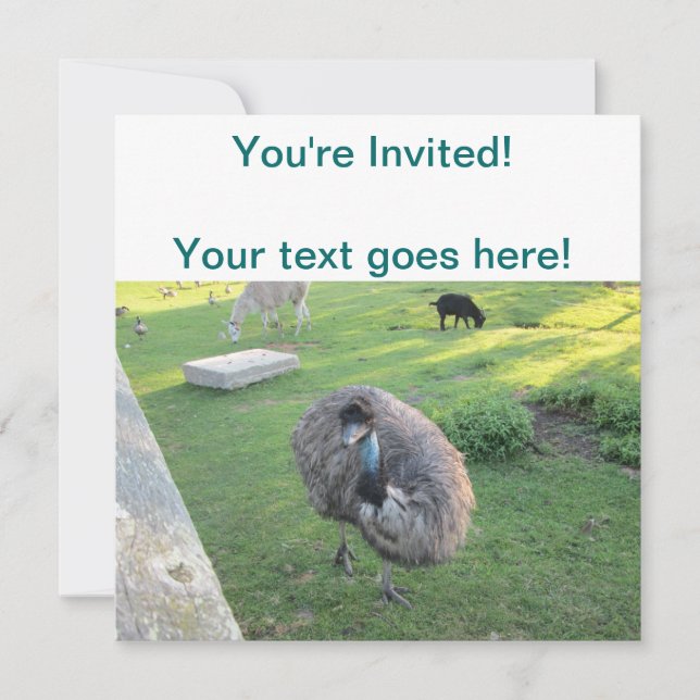 Invitación Emu (Anverso)