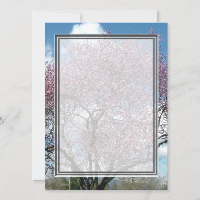 invitación en blanco, árbol de flor de cerezo (Anverso)