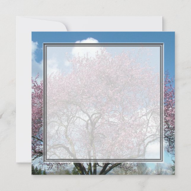 invitación en blanco, árbol de flor de cerezo (Anverso)