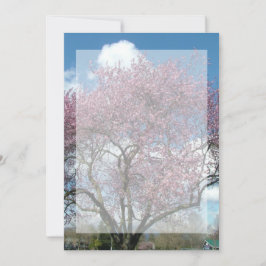 invitación en blanco, árbol florecido de cerezo