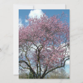 invitación en blanco, árbol floreciendo en cerezo