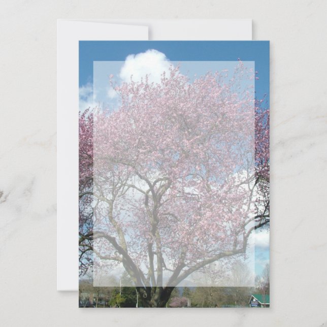 invitación en blanco, árbol floreciente de cerezo (Anverso)