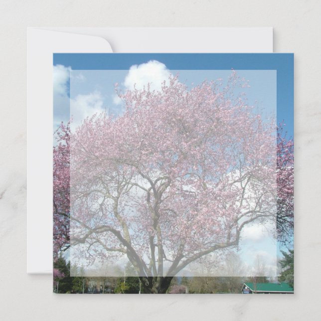 invitación en blanco, árbol floreciente de cerezo (Anverso)