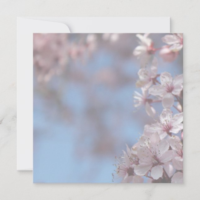 invitación en blanco, árbol floreciente de cerezo (Anverso)