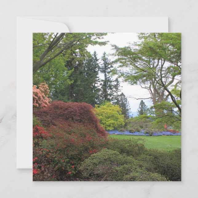 Invitación en blanco con una hermosa foto en el ja (Anverso)