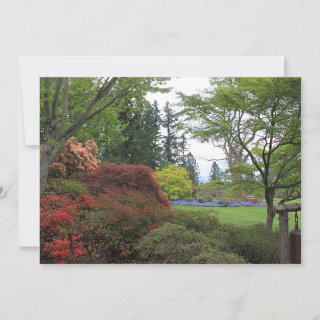 Invitación en blanco con una hermosa foto en el ja (Anverso)