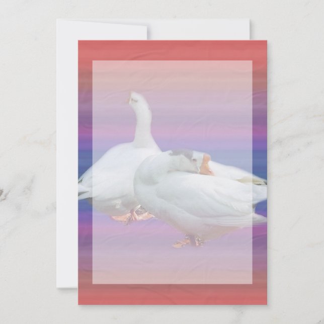 invitación en blanco, para todo propósito (Anverso)