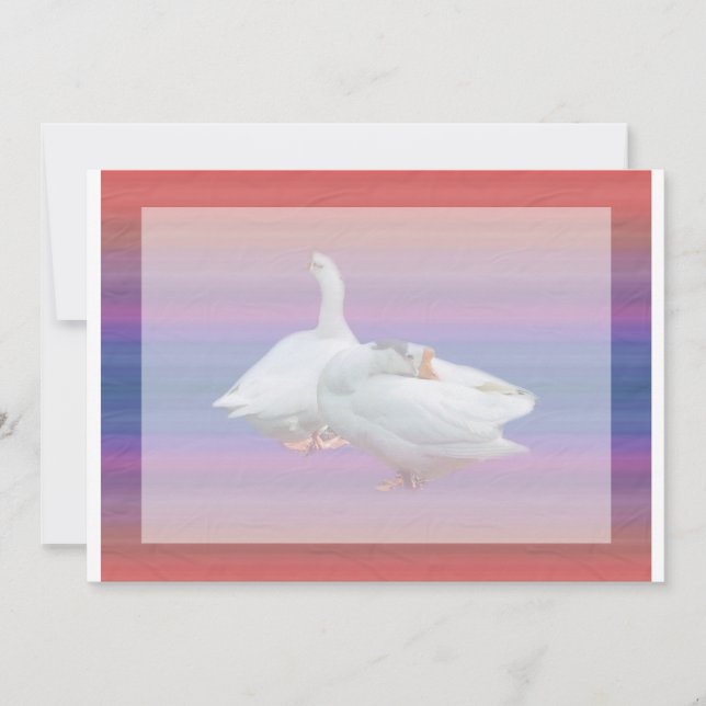 invitación en blanco, para todos los propósitos. (Anverso)