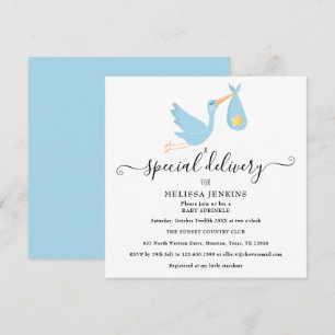 Invitación Entrega Especial  Baño de Sprinkle de Baby Stork S