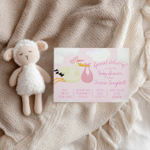 ¡Entrega Especial! Pink Stork Baby Shower