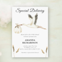 Entrega especial Stork Acuarela Baby Shower